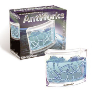 hormiguero hormiguero