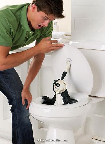 tinkles-the-toilet-cat