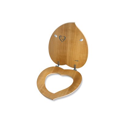 love-the-heart-shaped-toilet