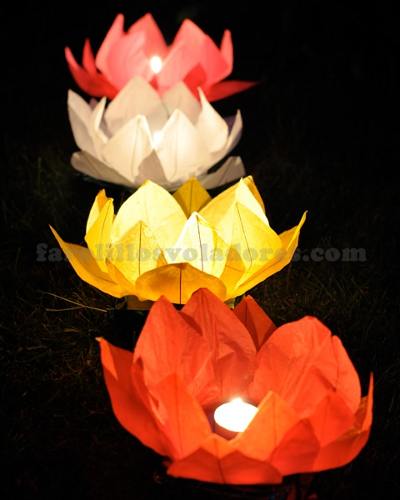 flores flotantes